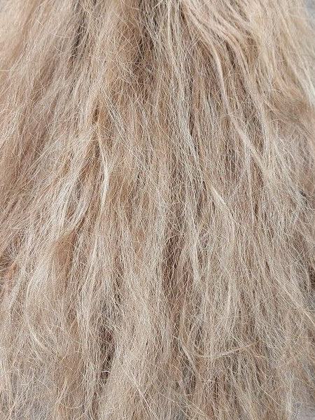 Zniszczone blond włosy 